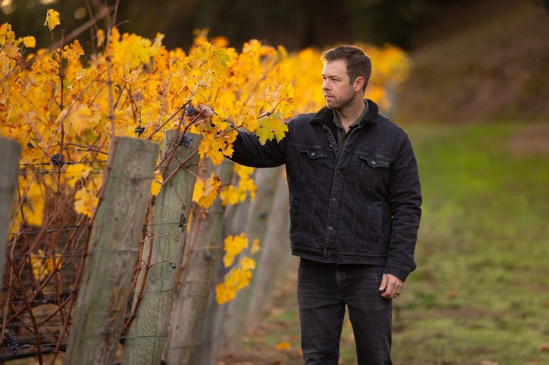 Travis Bullard, Winemaker at Cliff Lede