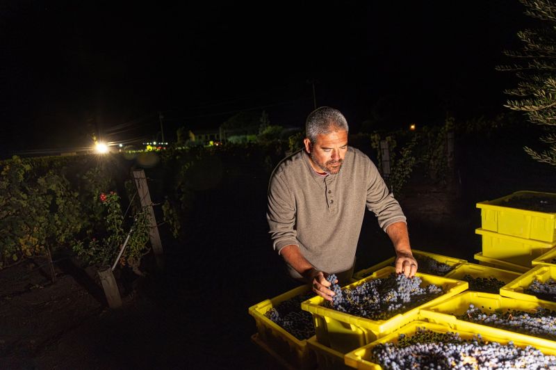 Josh Widaman, Winemaker at Pine Ridge