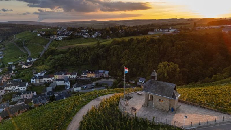 Wormeldange - Alice Hartmann Winery