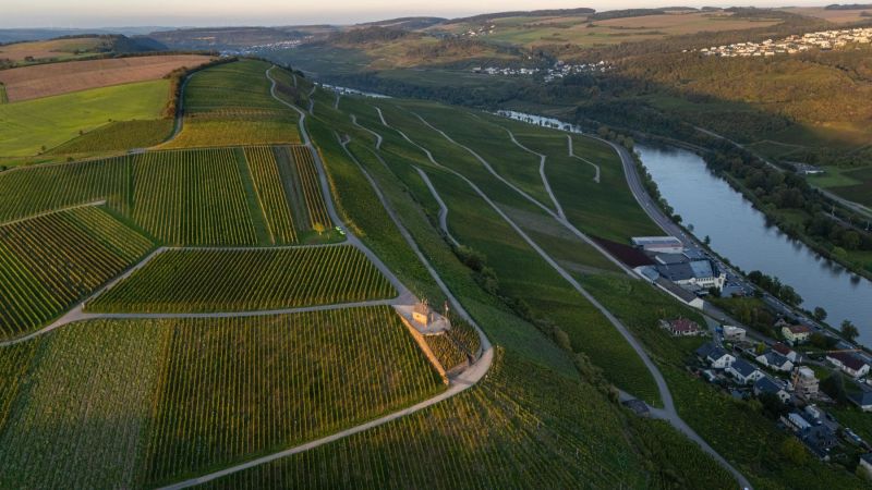 Wormeldange, Luxembourg Alice Hartmann Vineyards