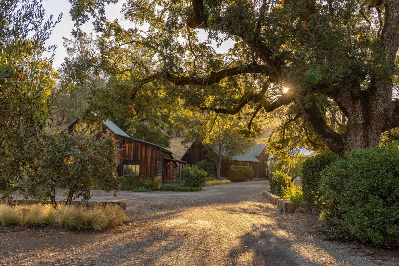 Eisele Vineyard Napa Valley