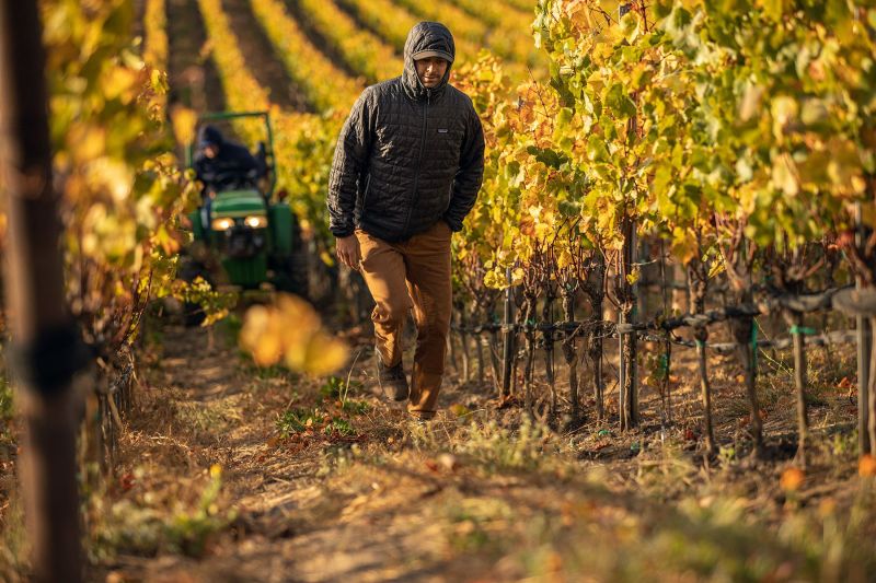 Seasmoke Winery Vineyard